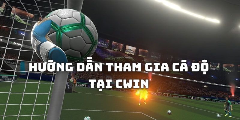 Hướng dẫn các bước cá độ túc cầu chính xác tại CWIN