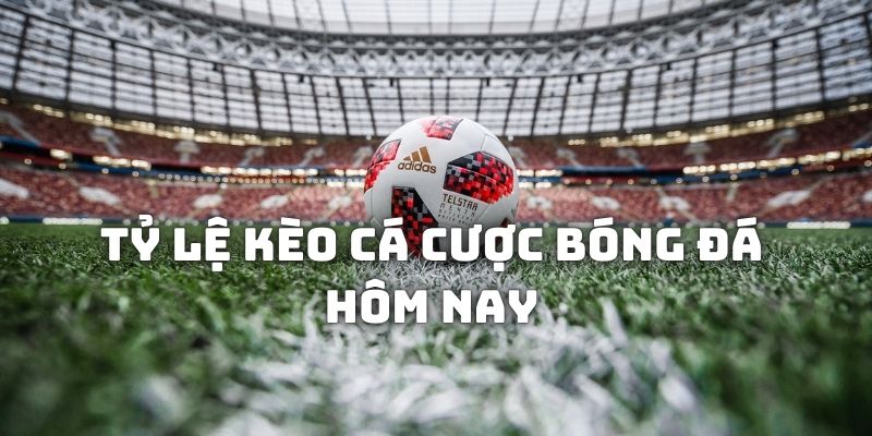 Tỷ lẹ kèo cược đá bóng hôm nay