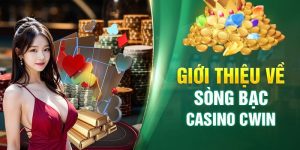 Tìm hiểu Casino Website CWIN có tỷ lệ thưởng cao